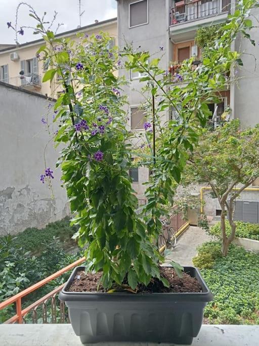 Il Grande Blu Apartman Milánó Kültér fotó