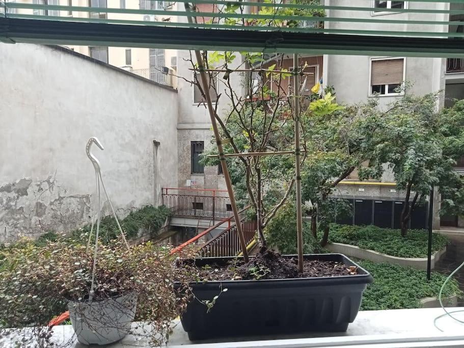 Il Grande Blu Apartman Milánó Kültér fotó